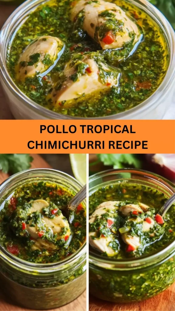 Best Pollo Tropical Chimichurri Recipe
