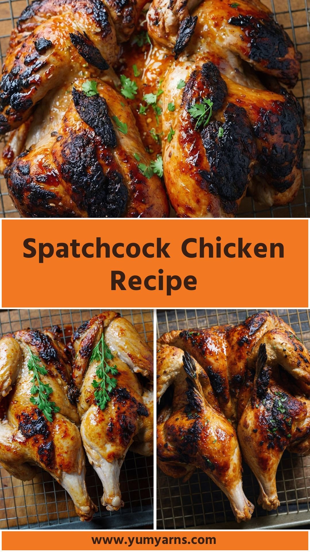 Spatchcock Chicken Recipe