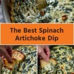 the best spinach artichoke dip