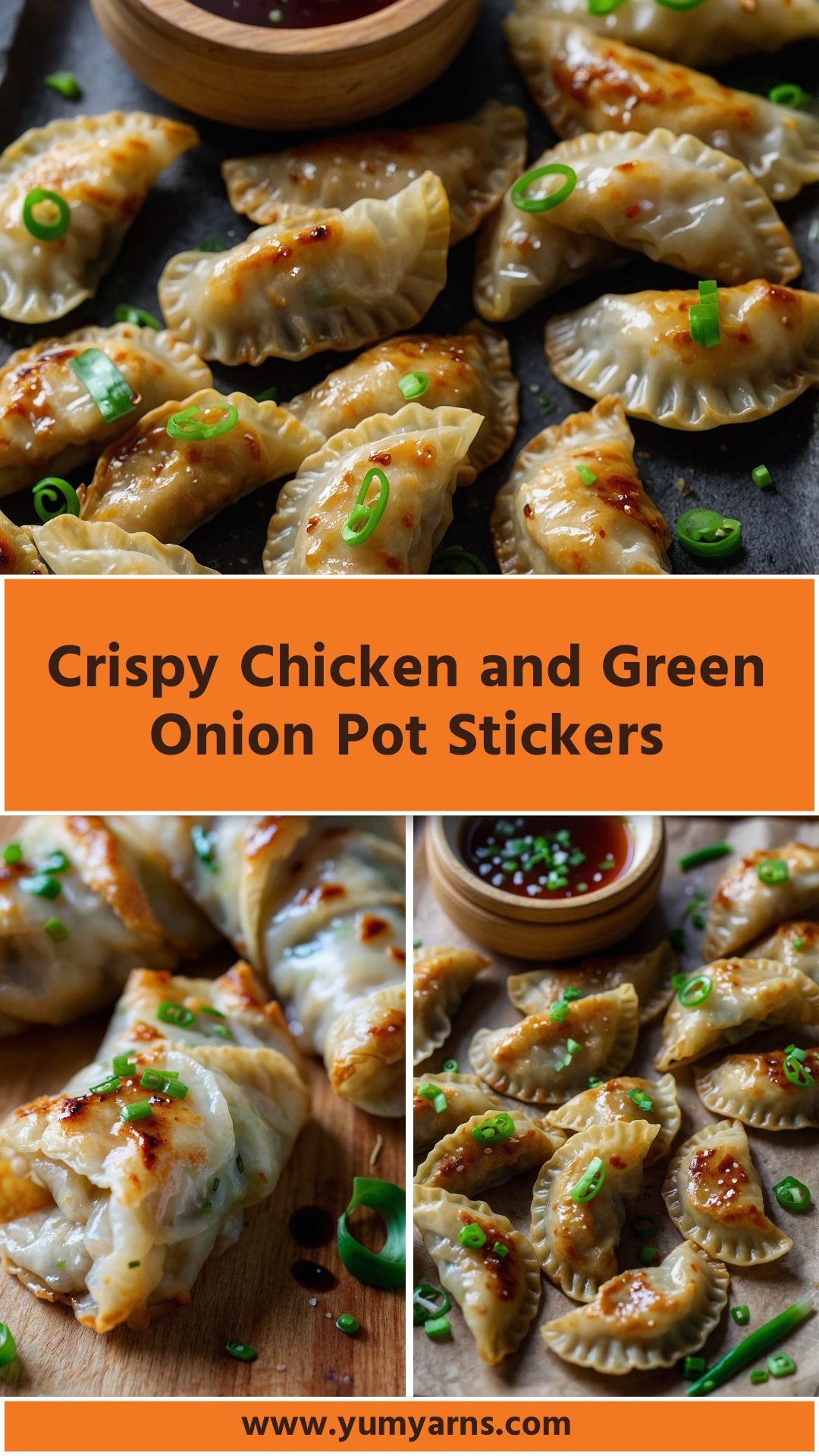 Crispy Chicken and Green Onion Pot Stickers