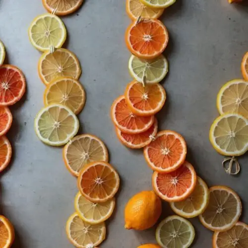 Dehydrated Citrus Garland DIY Copycat